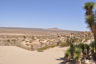 Enlarge photo 14