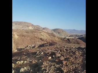 Enlarge MPEG4 6