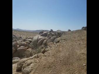 COUGAR BUTTES