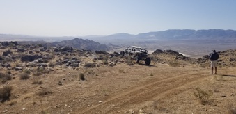 CRAWLOSEUM VISTA # 3