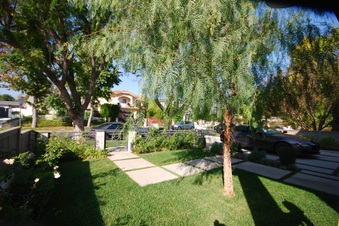 Enlarge photo 93
