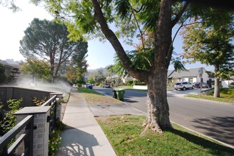 Enlarge photo 29