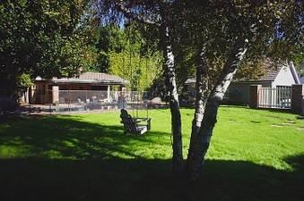 Enlarge photo 91
