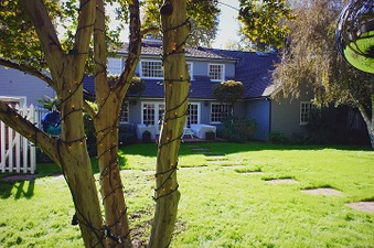 Enlarge photo 8