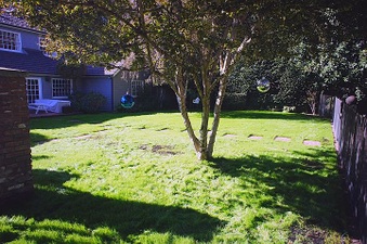 Enlarge photo 2