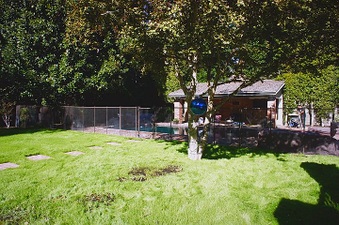 Enlarge photo 20