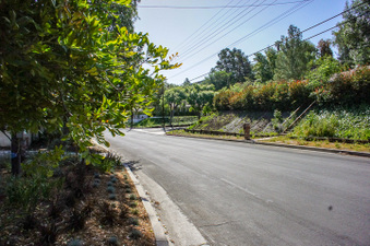 Enlarge photo 46