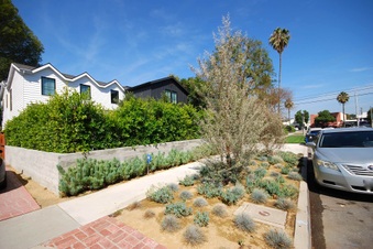 Enlarge photo 21