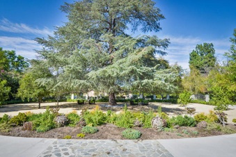 Enlarge photo 69