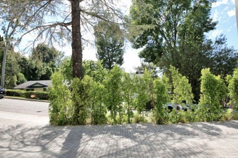 Enlarge photo 168