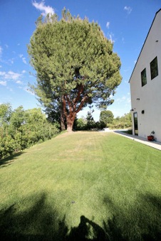 Enlarge photo 179