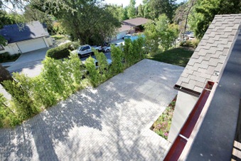 Enlarge photo 154