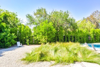 Enlarge photo 54