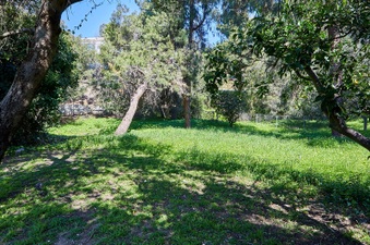 Enlarge photo 38