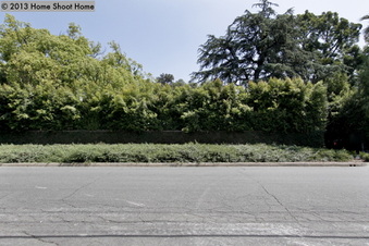 Enlarge photo 66