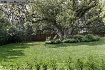 Enlarge photo 57