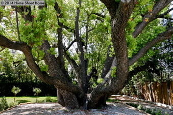 Enlarge photo 33