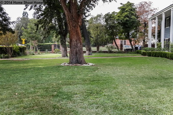 Enlarge photo 46