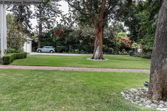 Enlarge photo 45