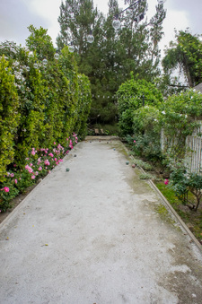 Enlarge photo 52