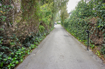 Enlarge photo 70