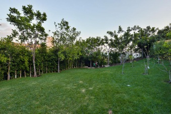 Enlarge photo 13
