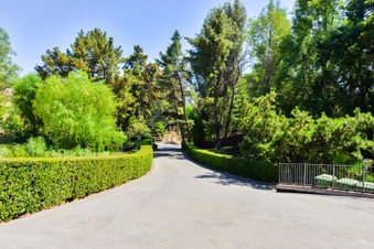 Enlarge photo 66