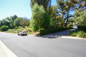 Enlarge photo 64