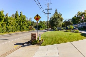 Enlarge photo 45