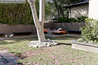 Enlarge photo 53