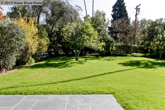 Enlarge photo 57