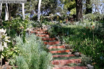 Enlarge photo 42