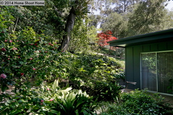 Enlarge photo 51