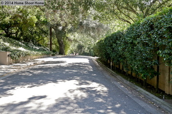 Enlarge photo 66