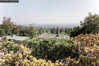 Enlarge photo 44