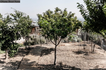 Enlarge photo 52
