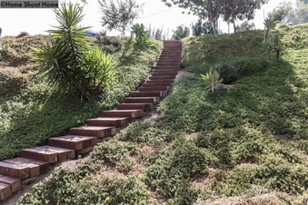 Enlarge photo 54