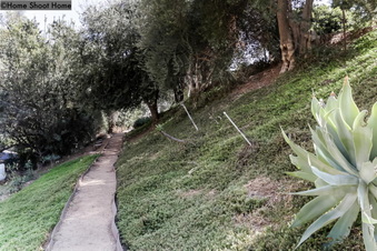 Enlarge photo 55