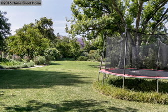 Enlarge photo 75