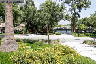 Enlarge photo 78