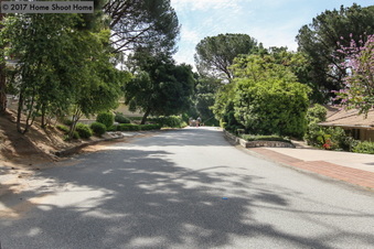 Enlarge photo 80