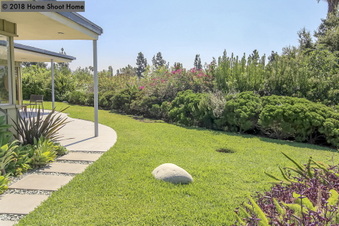Enlarge photo 62
