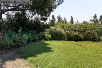 Enlarge photo 81