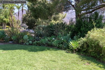 Enlarge photo 82