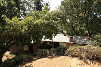 Enlarge photo 53