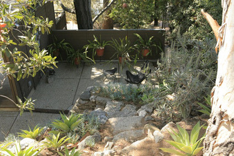 Enlarge photo 54