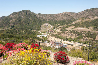 Enlarge photo 55