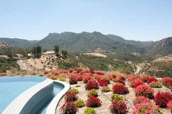 Enlarge photo 56