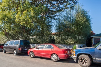 Enlarge photo 82