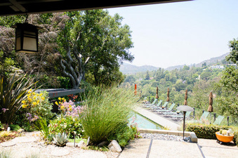 Enlarge photo 40